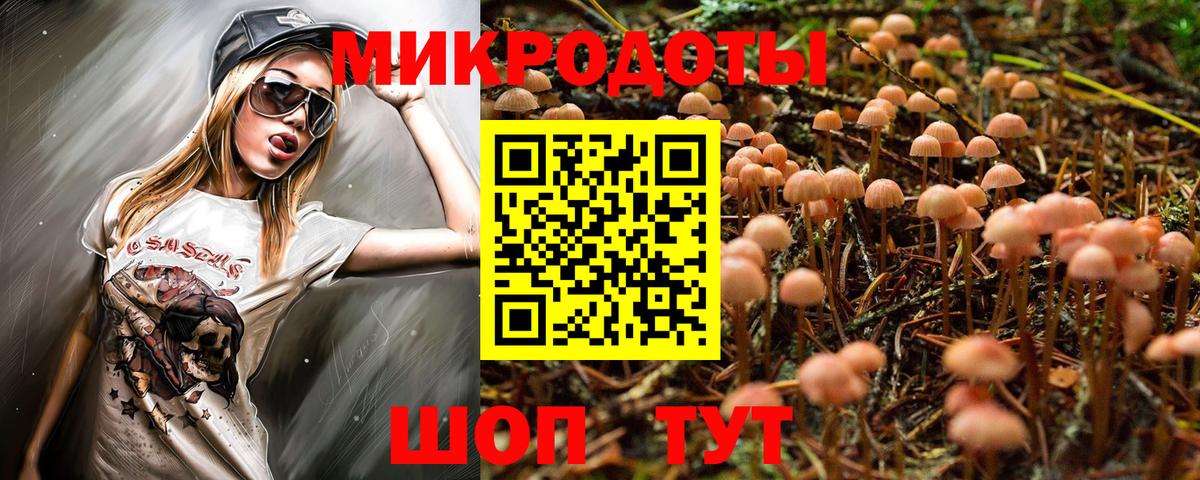 Псилоцибиновые грибы Cubensis  Вход с VPN  Ростов Великий 